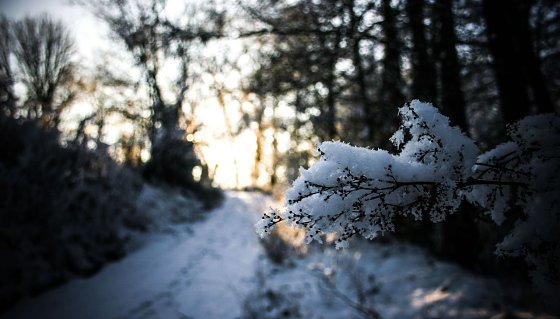 Bild: Wetter-Bild