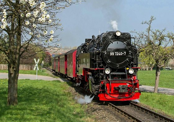 Bild: Mit Volldampf in den Fr&uuml;hling