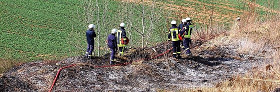 Bild: Fl&auml;chenbrand bei Sollstedt