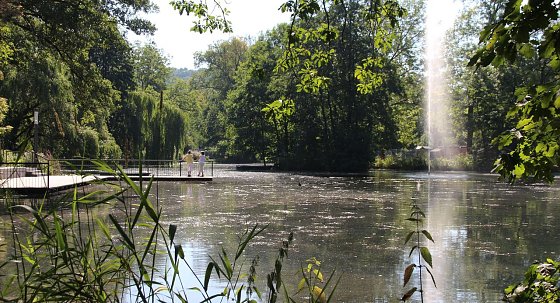 Bild: Blick auf den Gondelteich