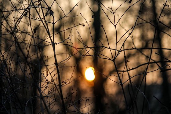 Bild: Wetter-Bild
