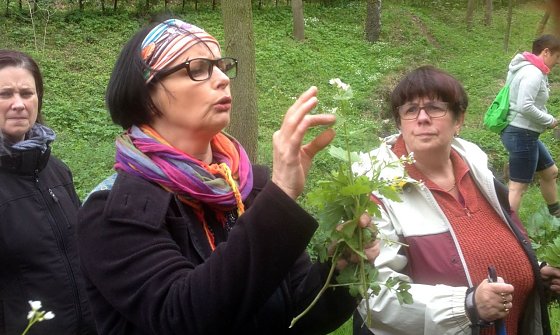Bild: Gef&uuml;hrte Wanderung