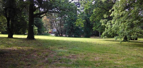 Bild: Ordentlich in Schuss: Park Hohenrode. Im Hintergrund die Villa.