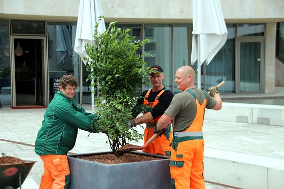 Bild: Platz soll gr&uuml;n werden