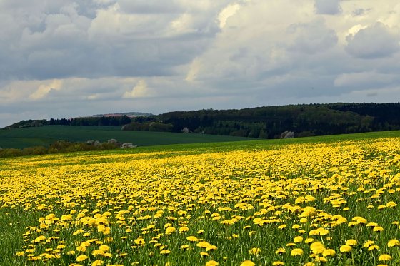 Bild: Wetterbild