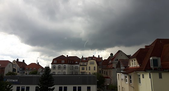 Bild: Kleiner R&uuml;ssel am Himmel