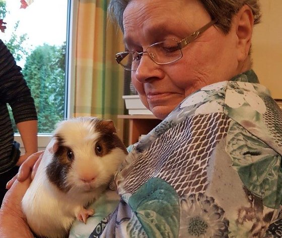 Bild: Tierische Freunde