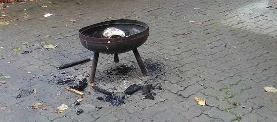 Bild: Riesige Schweinerei in Harztor