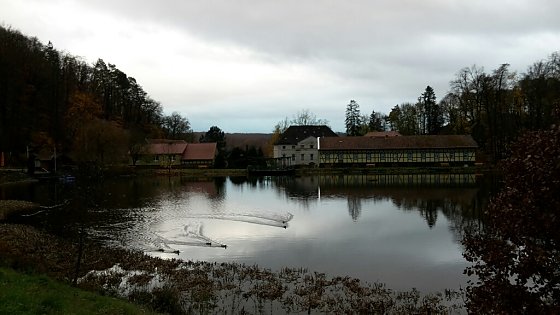 Bild: Rund um Neustadt wandern