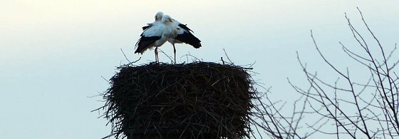 Bild: Zur&uuml;ck in Windehausen