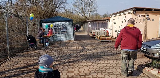 Bild: Ostereiersuche im Nordh&auml;user Tierheim