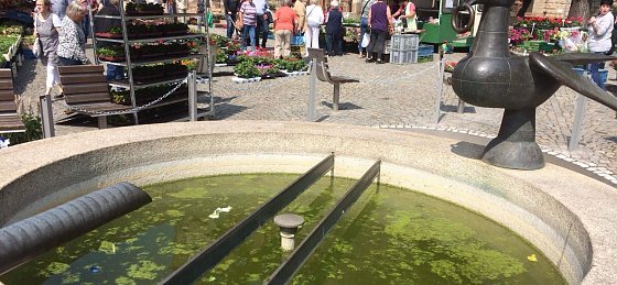 Bild: Stinkende Br&uuml;he im Rathausbrunnen