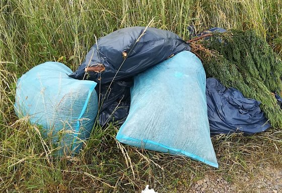 Bild: Einfach in die Natur gekippt