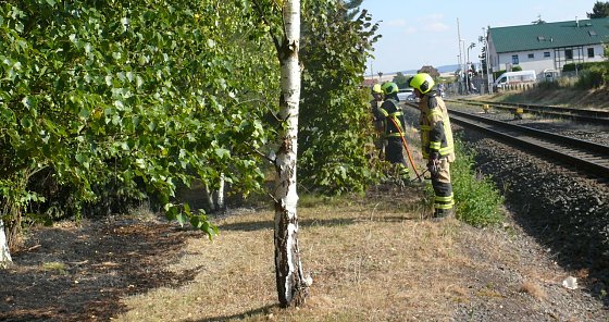 Bild: Glutnester wurden durch die Feuerwehr gel&ouml;scht