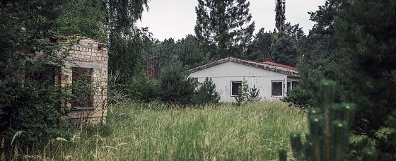 Bild: Die Natur holt sich Repente St&uuml;ck f&uuml;r St&uuml;ck zur&uuml;ck
