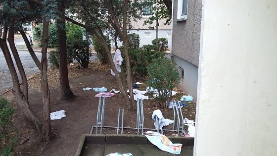Bild: Kurz nach der ersten Aufr&auml;umaktion