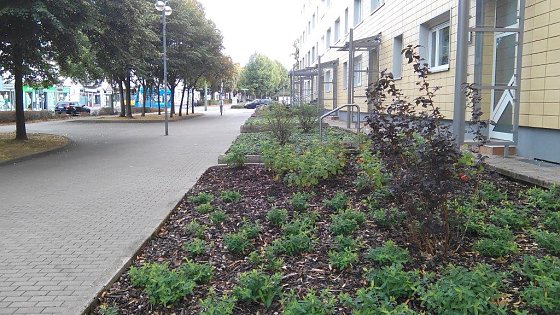 Bild: Ein Modellprojekt und die Kleinigkeiten am Rande