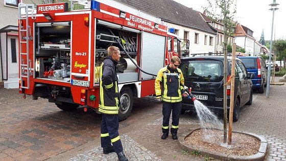 Bild: Der besondere Einsatz
