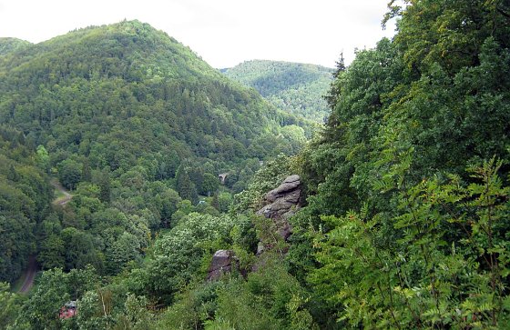 Bild: Blick in den Harz