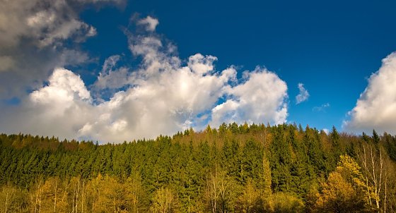 Bild: Wetterbild