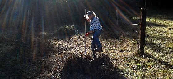 Bild: Fritz Daniel aus Sondershausen bei der Arbeit im Niedermoor.