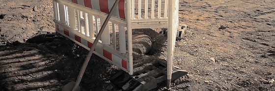 Bild: Der Blindg&auml;nger