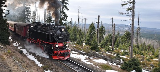 Bild: Der Harzer Winter wird nass Foto: Schwalbenschwanz