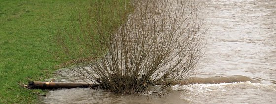 Bild: Die Zorge in Nordhausen, von der Br&uuml;cke in der Hesser&ouml;der Stra&szlig;e
