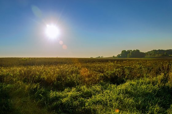 Bild: Sonne
