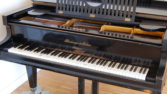 Bild: Es geht um dieses Instrument