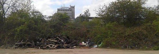 Bild: Zur besseren Orientierung: Im Hintergrund das Reemtsma-Geb&auml;ude.