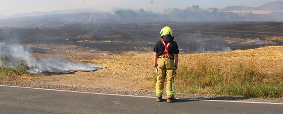 Bild: Gro&szlig;brand zwischen Ellrich und Werna