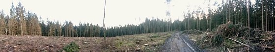 Bild: Fr&ouml;hliches Wandern