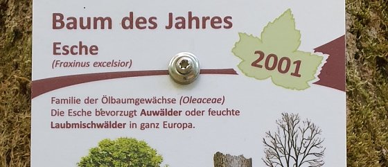 Bild: Balsam f&uuml;r die Seele