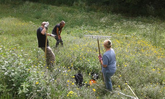 Bild: Teilnehmerinnen und Teilnehmer des 98. landschaftspflegerischen BUND-Einsatzes beobachten Schmetterlinge in der N&auml;he von Steigerthal.