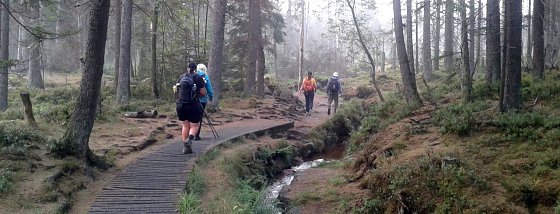 Bild: Kurz nach 7 bew&auml;ltigten die Teilnehmer des 13. Harz-Hunderters Extrem nach der ersten durchwanderten Nacht planm&auml;&szlig;ig den Abschnitt vom Torfhaus zum Brocken. (03.08.2019)