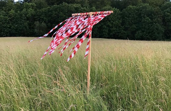 Bild: Vor Beginn der Wiesenmahd stellt Torsten Mei&szlig;ner in seinem Revier Wildscheuchen auf. Sie dienen neben der Vermeidung von Wildsch&auml;den in Feldern und Sch&auml;lsch&auml;den in W&auml;ldern vor allem einer effektiven Rehkitzrettung.