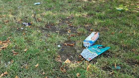 Bild: Dieses Foto entstand am heutigen Morgen, es zeigt einen kleinen Ausschnitt, ist leider jedoch repr&auml;sentativ.