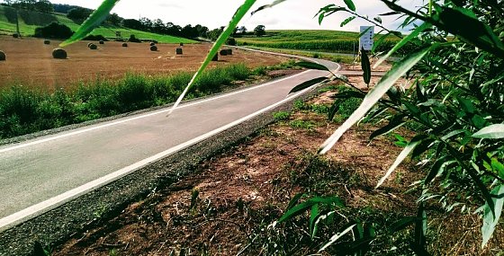 Bild: Radweg