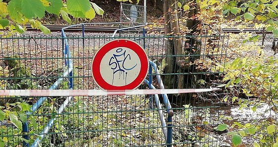 Bild: Auf dem Foto sind im Hintergrund die Gleise der HSB zu erkennen