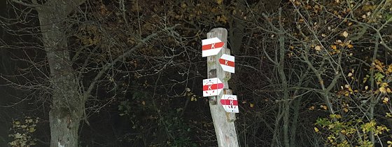 Bild: 100 km durch Karst, Herbstlaub und Schlamm