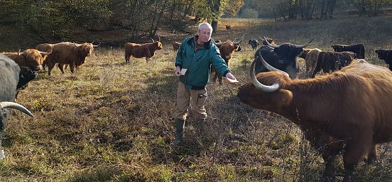 Bild: Meyk Forst mit der Herde Schottisches Hochlandrind auf einer Weide in der R&uuml;digsdorfer Schweiz.