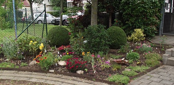 Bild: Nur eine kleine Ecke vor der Haust&uuml;r, aber bienen- und umweltfreundlich gestaltet.