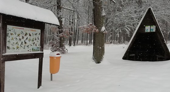 Bild: Sophienhof in diesem Winter