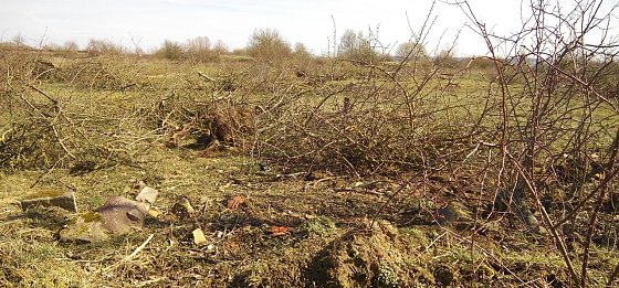 Bild: Schon sind B&uuml;sche und Str&auml;ucher auf einer Fl&auml;che s&uuml;d&ouml;stlich vom Tierheim gerodet. Eine illegale Ma&szlig;nahme, klagt die Untere Naturschutzbeh&ouml;rde und ist emp&ouml;rt. Sie soll Konsequenzen haben.
