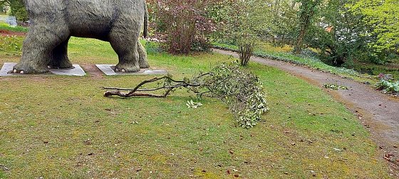 Bild: Vandalismus im Meyenbuirg-Park