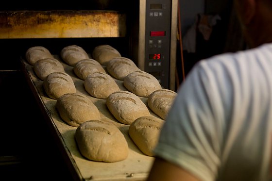 Bild: Wer in einer B&auml;ckerei lernt, soll bei der Vorbereitung auf die Abschlusspr&uuml;fung unterst&uuml;tzt werden, fordert die Gewerkschaft NGG.
