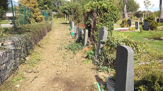 Bild: Hecke ist verschwunden