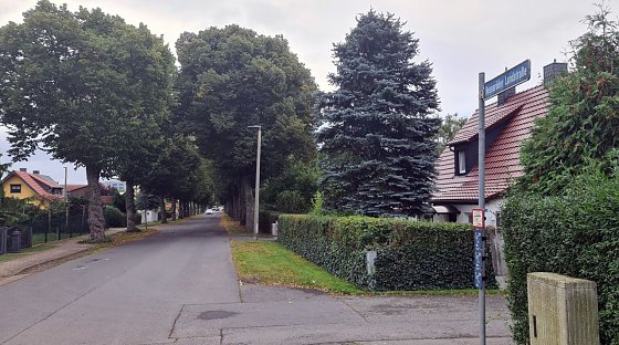 Bild: Soll Umleitungsstrecke werden - die Hesser&ouml;der Landstra&szlig;e in Nordhausen