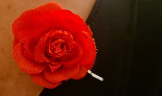 Bild: Die Zuschauer konnten sich gestern Abend eine rote Rose "anstecken"